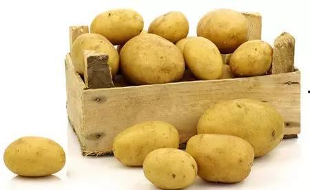 大瓜吃土豆视频,揭秘土豆美食背后的故事