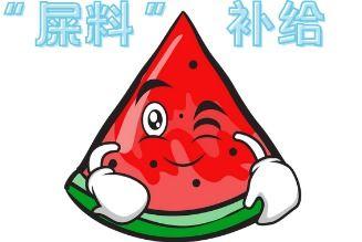 大型吃瓜视频,一场全民狂欢的视觉盛宴