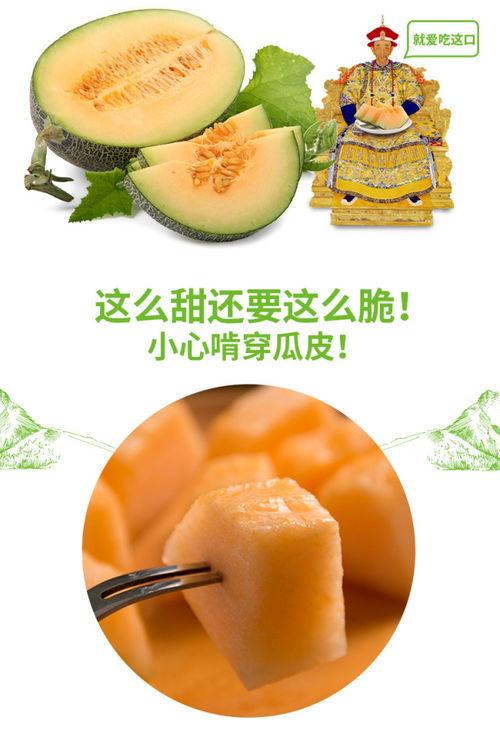 挑战吃蜜瓜视频,甜蜜挑战背后的趣味与挑战