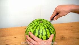 永清吃瓜视频,揭秘网络热点背后的真相与笑料