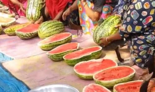 大丰收吃瓜视频,揭秘瓜农丰收背后的故事